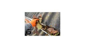 Read more about the article Gutter Care 101: DIY Tips to Clean and Prevent Clogs for a Happy Home