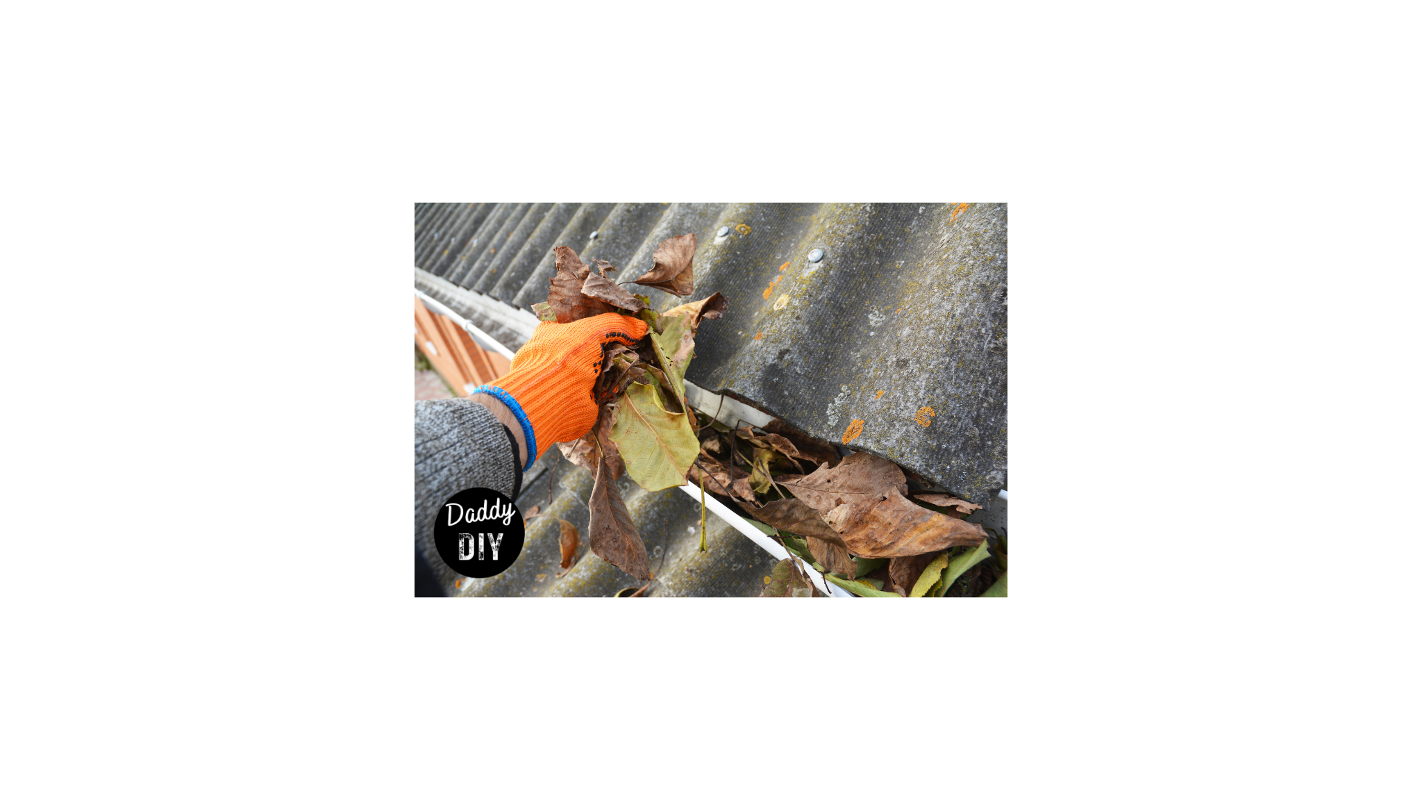 Read more about the article Gutter Care 101: DIY Tips to Clean and Prevent Clogs for a Happy Home